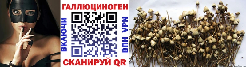 Псилоцибиновые грибы прущие грибы  Сясьстрой 
