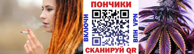 Каннабис планчик  наркота  MEGA ССЫЛКА  Сясьстрой 
